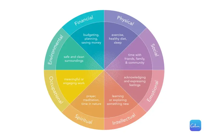 A wheel diagram shows eight dimensions of well-being: Financial, Physical, Social, Emotional, Intellectual, Spiritual, Occupational, and Environmental. These areas offer paths to be calm.
